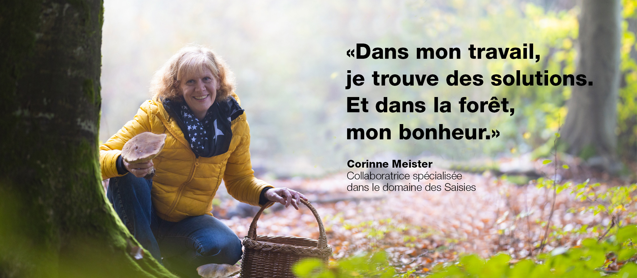 image de la bannière