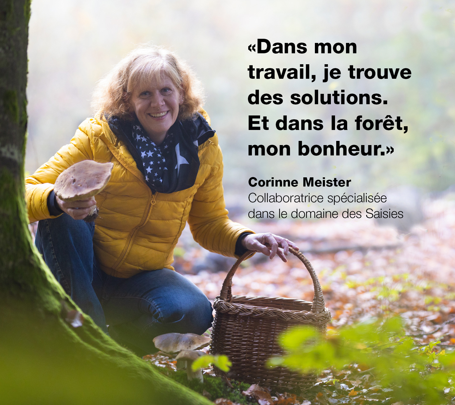 image de la bannière