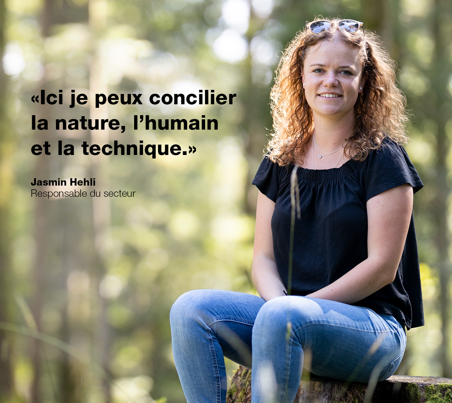 image de la bannière